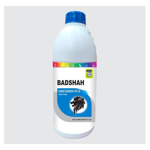 Badshah